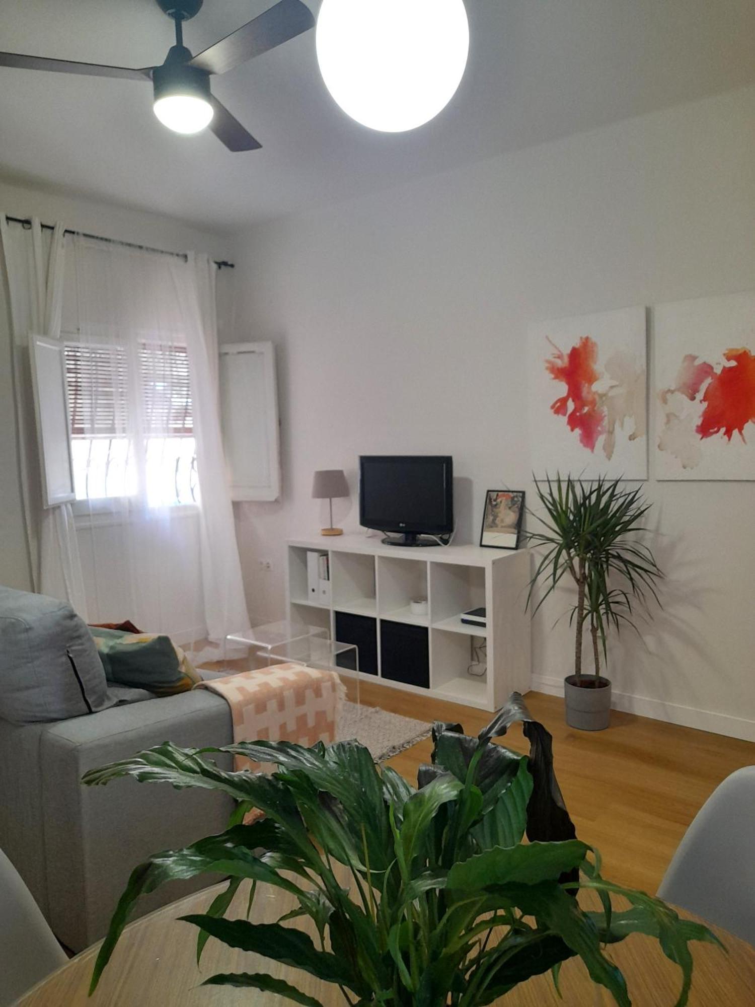 Apartamento Amar-Cura 马拉加 外观 照片